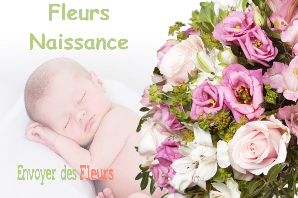 lIVRAISON FLEURS NAISSANCE à SAINT-GERMAIN-EN-MONTAGNE